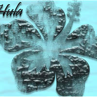 .:Hula:.