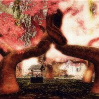 Radiant Bliss Music Project